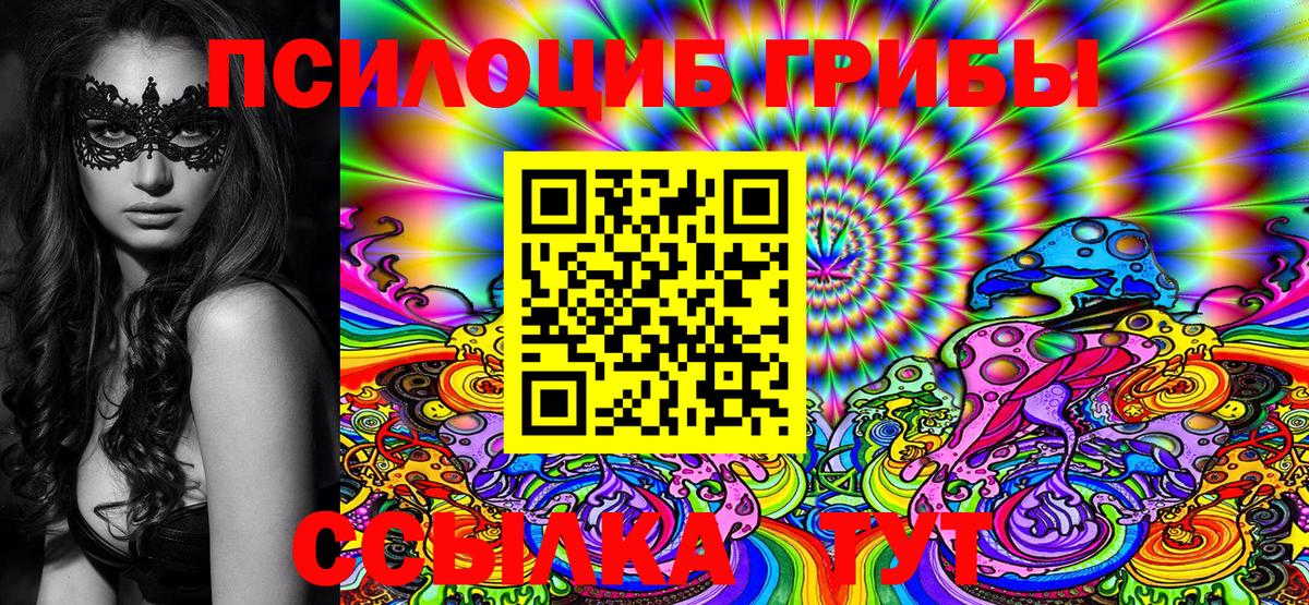 дарнет шоп  Вход с VPN  Чита  Псилоцибиновые грибы MAGIC MUSHROOMS 